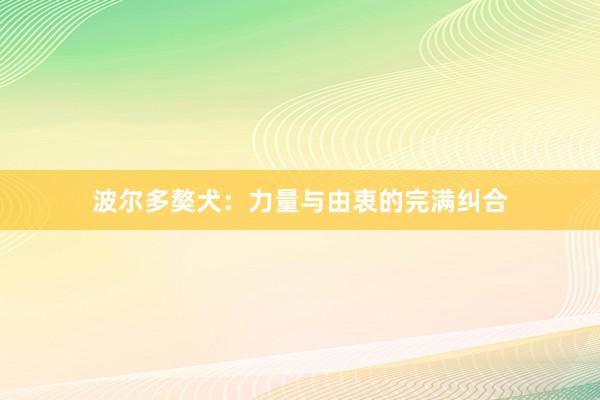 波尔多獒犬：力量与由衷的完满纠合