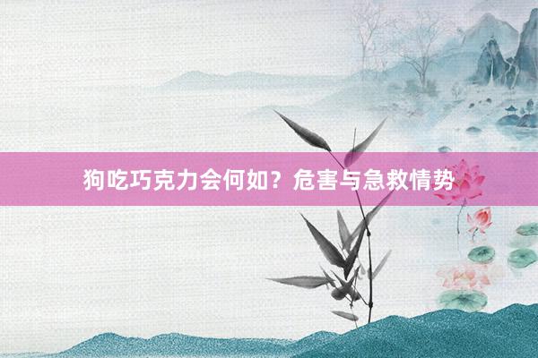 狗吃巧克力会何如？危害与急救情势