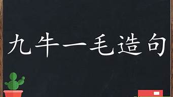 九牛一毛造句子_九牛一毛造句子二年级简单