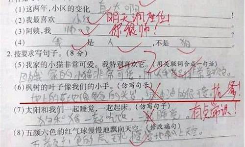 千疮百孔造句子四年级上册_千疮百孔造句子四年级上册简单