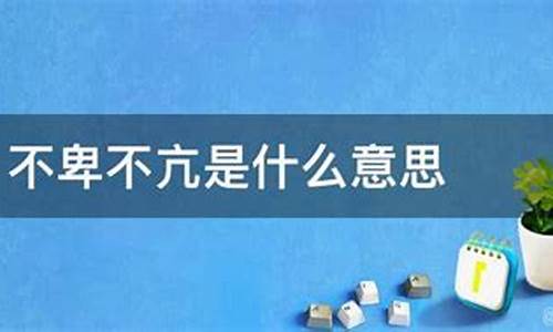 不卑不亢是什么意思造句_不卑不亢是什么意思造句二年级