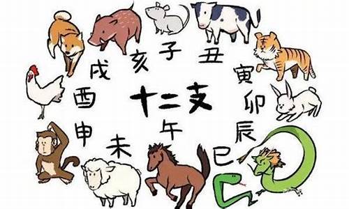 各打一生肖是什么动物呢啊_各字猜生肖