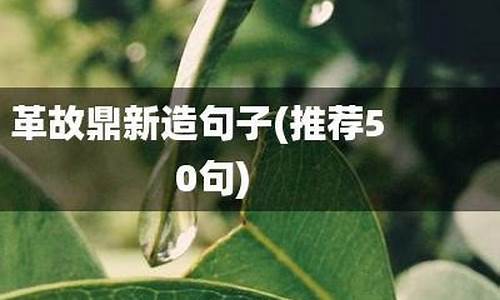 用革故鼎新造句子_用革故鼎新造句子怎么造