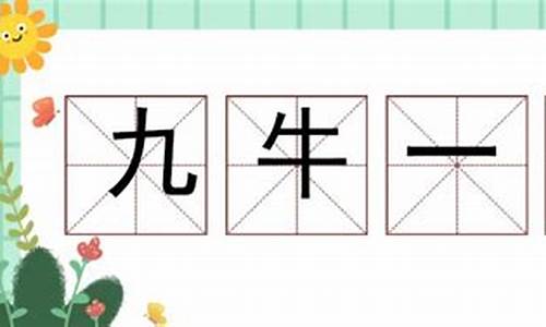 九牛一毛造句5个字怎么写_九牛一毛造句5个字怎么写的